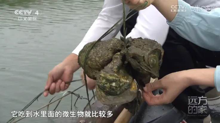 看看屋Max最新手机版 看看屋Max最新手机版