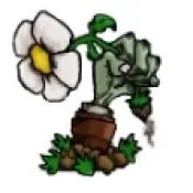 PVZ��Ϸ��׿���ֻ���