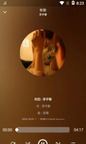 ����(������������)