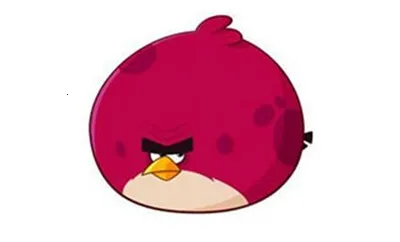 ��ŭ��С�����������ֻ���