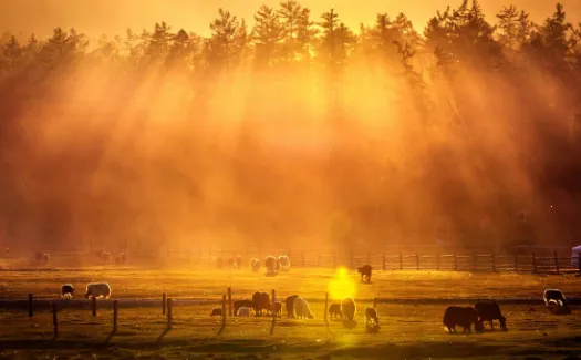 ����ͼ��(ͷ���ֽ����)