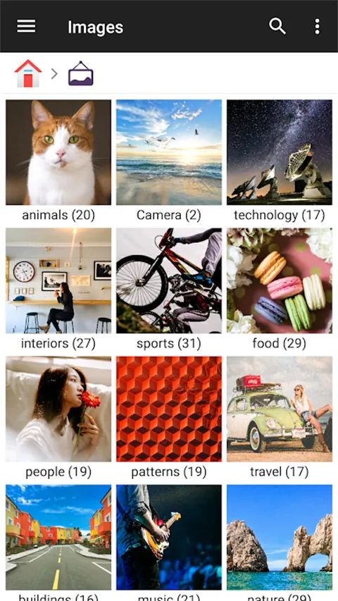 FileManager�ļ�������2025���ذ�װ