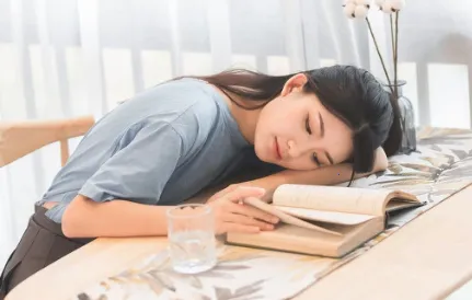 河马小说安卓版手机版 河马小说安卓版手机版