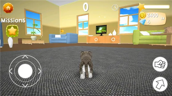 catsimulatorè��ģ���������ֻ���