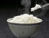 ��̫��(��ʳ����Ӧ��)