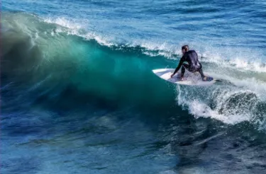 ���Ѳ�����2025�ٷ����°汾