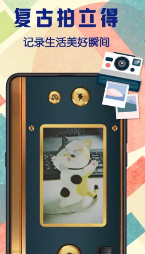 ���������Chic(�����������)