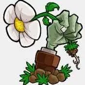 ֲ���ս��ʬ��(ֲ��������Ϸ)