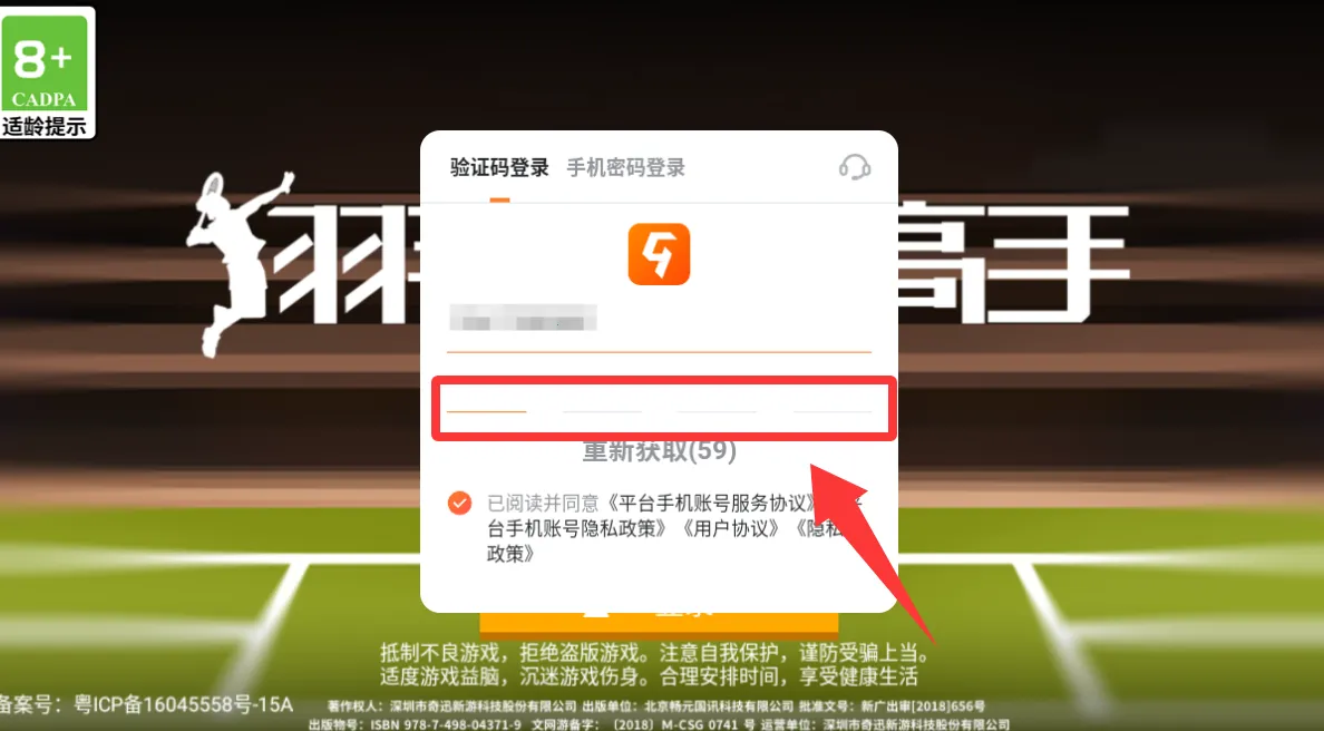 羽毛球高高手(羽毛球竞技游戏) 羽毛球高高手(羽毛球竞技游戏)