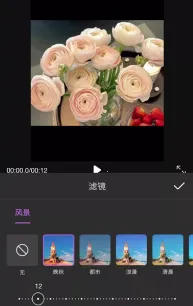 ��Ƶ��������(��Ƶ��������)