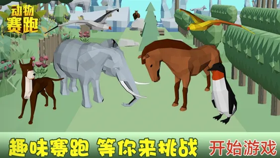 动物赛跑安卓版手机版 动物赛跑安卓版手机版