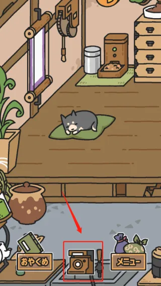 ������ʹ��(������Ϸ)