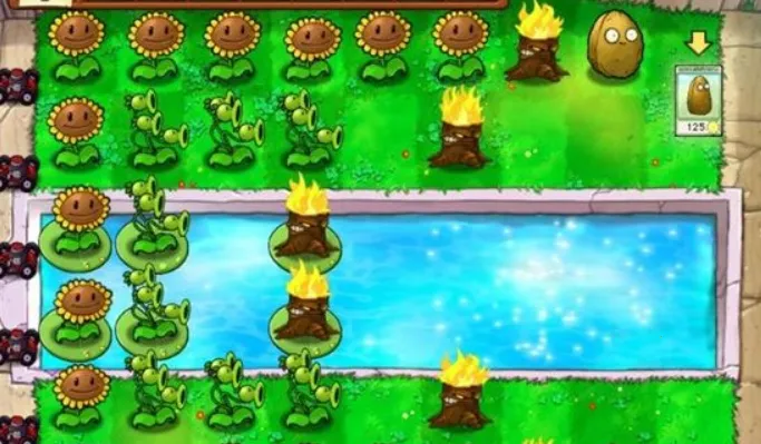 pvzһ��(����ð����Ϸ)