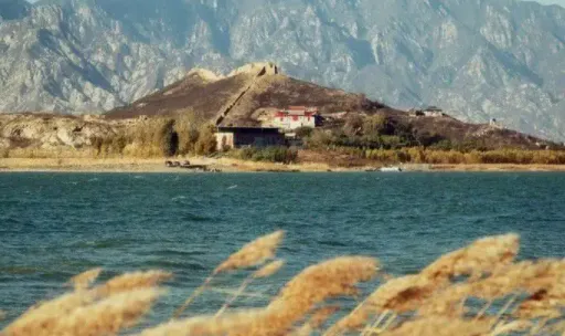 ���ƻ���