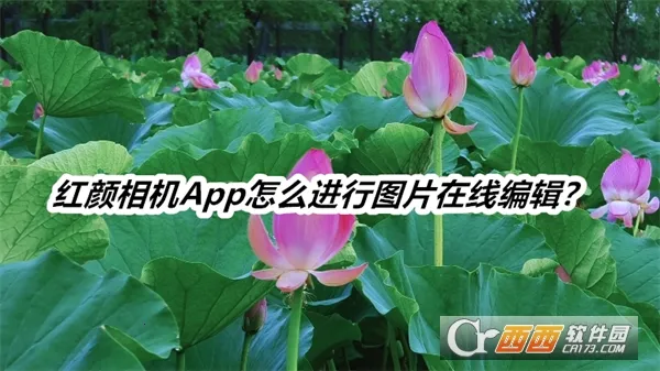 红颜相机安卓版手机版 红颜相机安卓版手机版