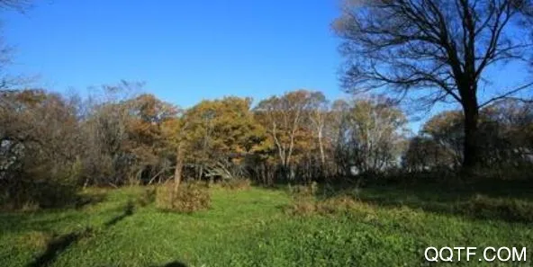 ������ý(��ý��������ƽ̨)