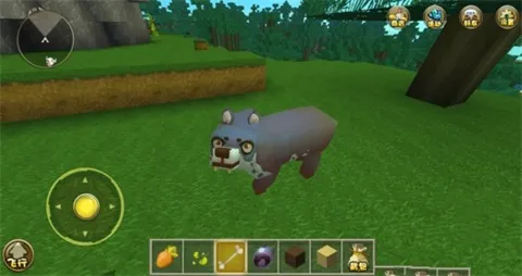 ���������Ʒ�2026���ذ�װ