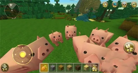 ���������Ʒ�2026���ذ�װ