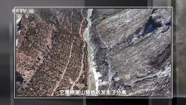 一木电视直播2026官方正版 一木电视直播2026官方正版