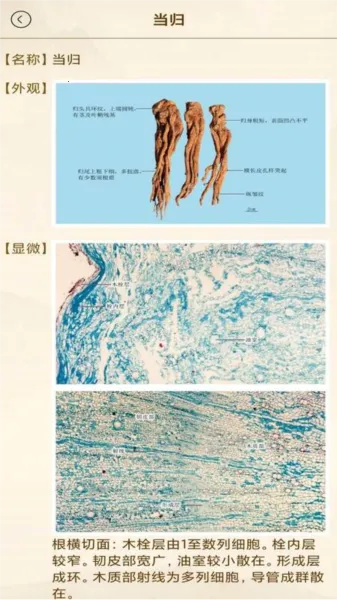 ��ҽ����