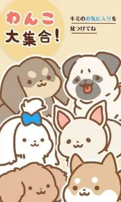 ����ȫ����