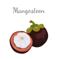 ɽ������2026���°汾