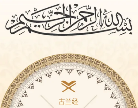 �����ж�