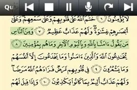 �����ж�