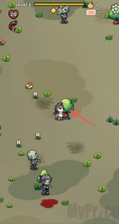 צ�ӶԿ�����2026�ٷ�����