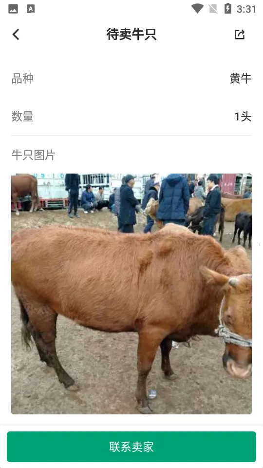 ���ţ2026�ٷ����°汾