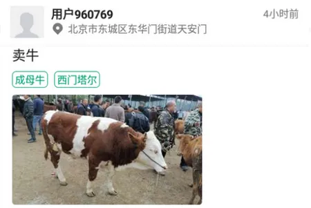 ���ţ2026�ٷ����°汾