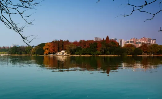 B12�����׿���ֻ���