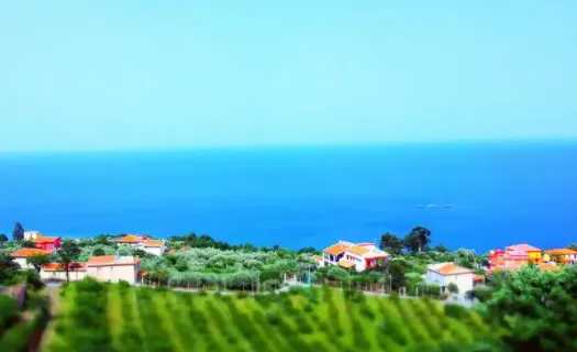 B12�����׿���ֻ���