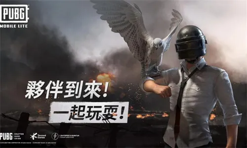 pubg���ʷ�