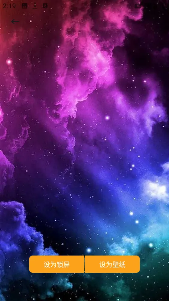 ������ֽapp