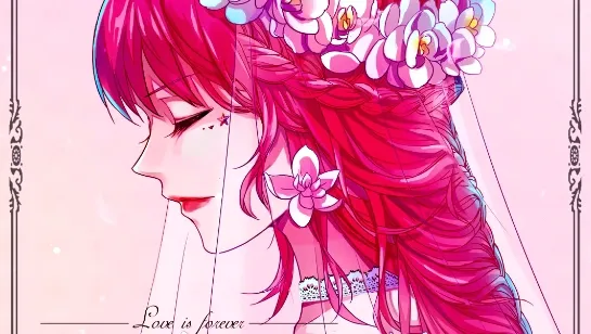 ��̬��ֽ����