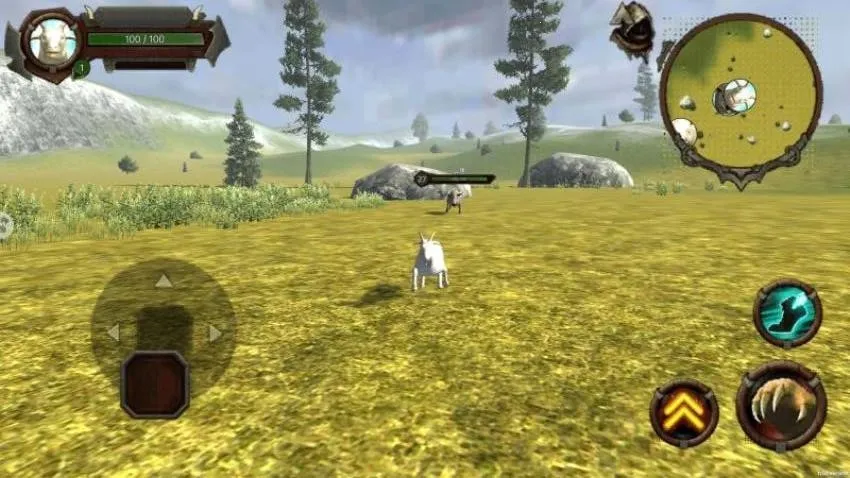 狂野动物模拟 狂野动物模拟