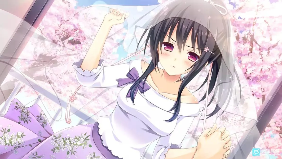 寄宿之恋2026官方最新版本 寄宿之恋2026官方最新版本