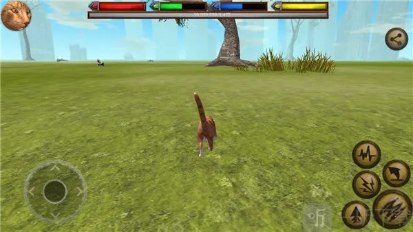 终极猫模拟器 终极猫模拟器