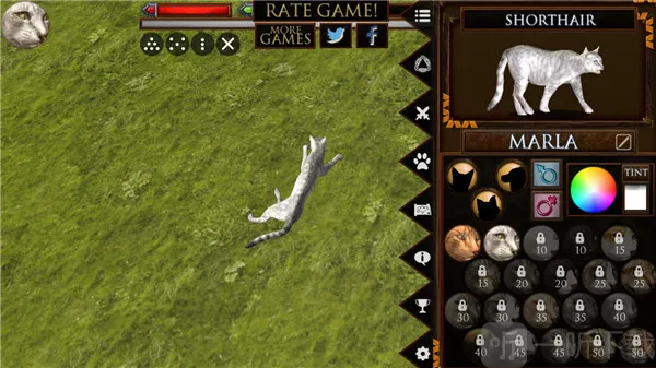 终极猫模拟器 终极猫模拟器