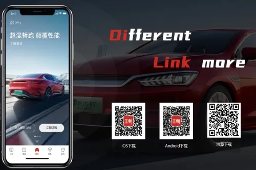 ���ǵϺ���