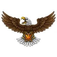 ��ӥTV2026���°汾