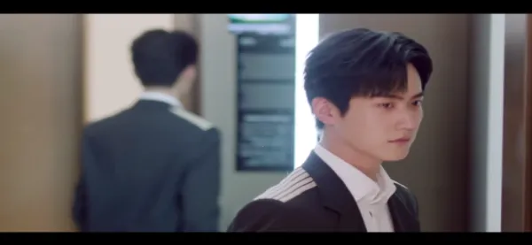 飞鹰TV2026最新版本 飞鹰TV2026最新版本