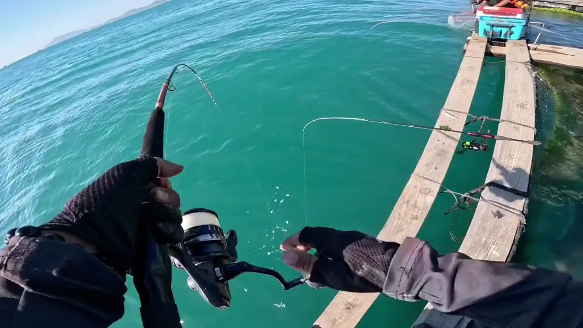 �����ʦ���������