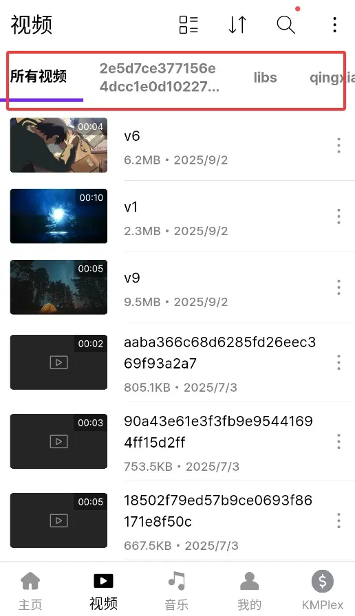 kmplayer plus������