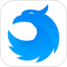 ��ӥ���������