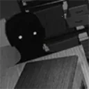 Ѱ��α���ֻ���������