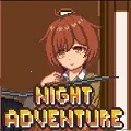 Night Adventure(��װ��Ϸ)