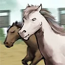 ����Ҳ������޽������