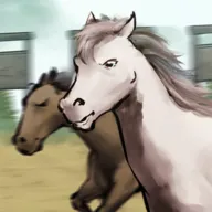 ����Ҳ����ƽ��